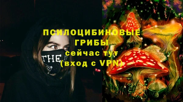 молекула духа Алзамай