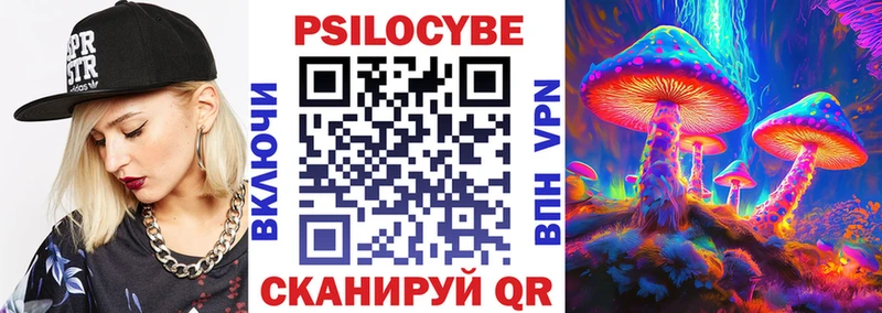 как найти Уяр площадка как зайти Галлюциногенные грибы Psilocybe